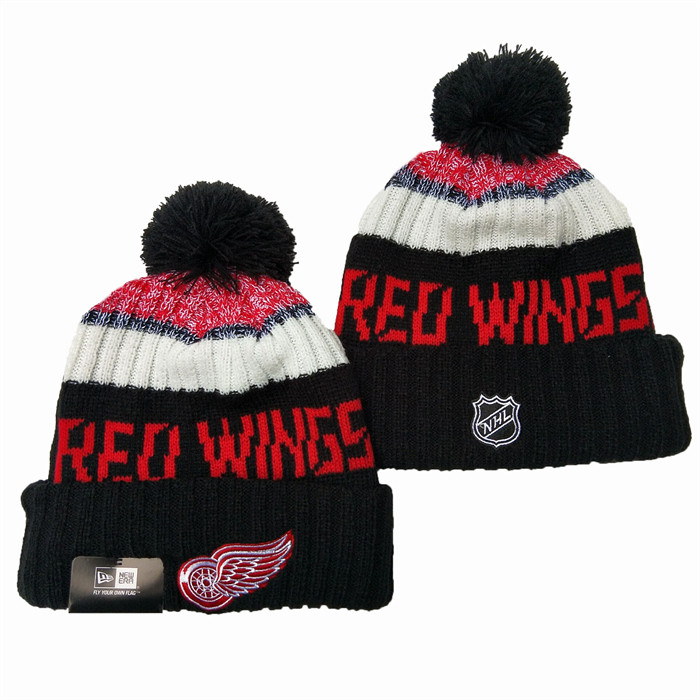 Detroit Red Wings 2026 Knit Hats 001